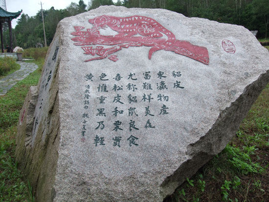 露水河国家森林公园:碑文 白山市候选景区:露水河国际狩猎场(组图)
