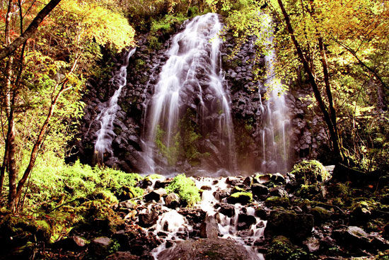 白山望天鹅:林中瀑布 白山市候选景区:望天鹅旅游风景区(组图)