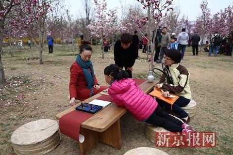 2015年4月1日,北京国际雕塑公园,市民在玉兰花下游玩。新京报记者 浦峰 摄 2015北京石景山春游季即将开幕