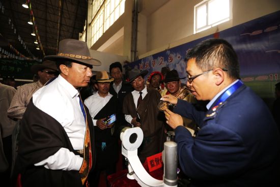 县长才旦周到展区现场了解布展情况及假虫草的鉴定 2015首届青海杂多冬虫夏草交易会开幕