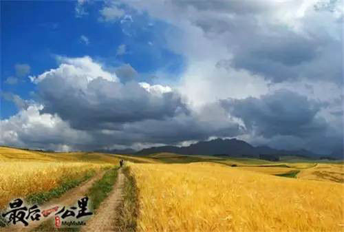 大美新疆:盘点最经典自驾车旅游线路2
