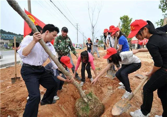 改善生态环境从种树开始 过去五年 钦州取得了这些显著成绩