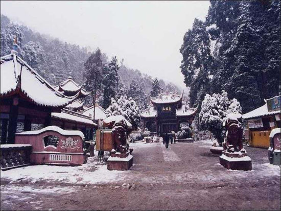 冬季青城公园 冬季青城公园:城市的天然绿肺