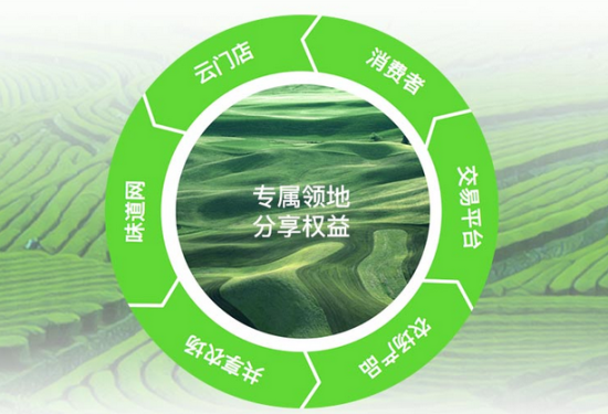 《老梅有约》走进味道网 解读现代农业范本 《老梅有约》走进味道网 解读现代农业范本