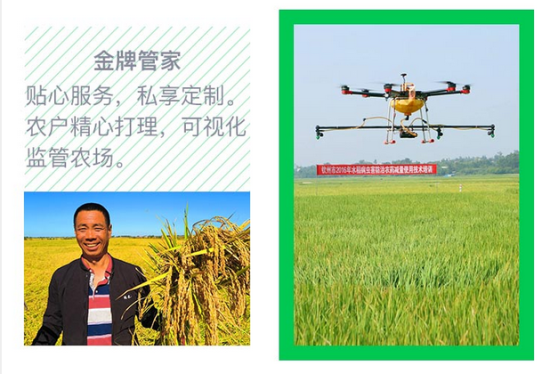 《老梅有约》走进味道网 解读现代农业范本 《老梅有约》走进味道网 解读现代农业范本