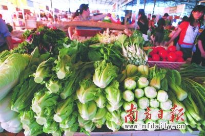 珠海4月生菜暴涨一倍 市民直呼吃菜不如吃鸡|蔬