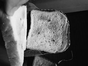 ▲张女士打开包装发现上面的4片面包都已经长了绿色的霉菌，下边的面包却没有问题。