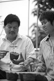 图文:《山楂树之恋》催热“山楂游”