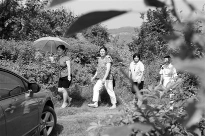 图文:《山楂树之恋》催热“山楂游”