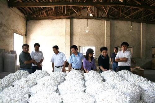 ʡ����ɣ���ơ�������Ŀ������������������ղϼ���ع��������Ŀ��ͼ��