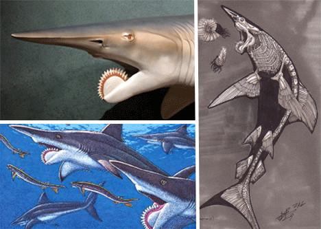 十四种已灭绝怪兽:旋齿鲨泰坦蟒上榜