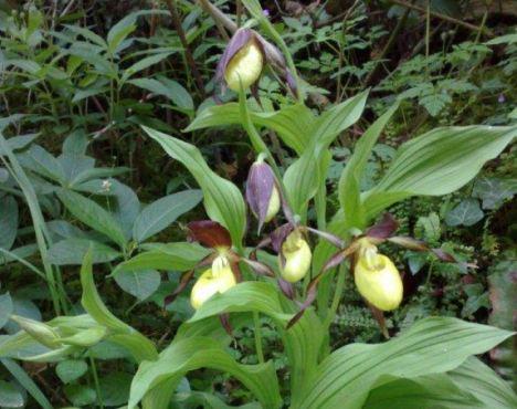 Ӣ�����һ���������������24Сʱ����