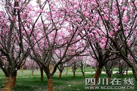 ��԰�츮֮����̬�˾��³�