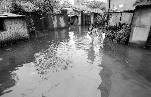 ���ϱ�������������ҽ�6.5����Сѧ��ͣ��