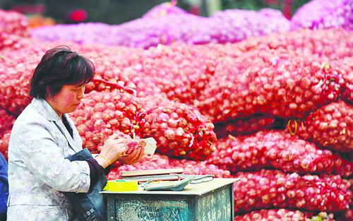 5月26日，在太原市河西农产品批发市场，一位大蒜批发商正在清点上午的营业额