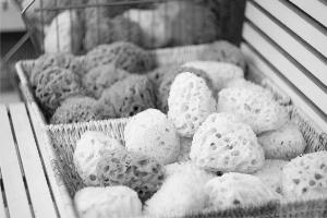 ʮ��Ԫ�����ֹ���������