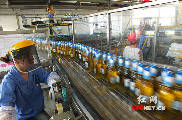 ����Ӣ�����ϵڶ��ڹ��̼���Ͷ��