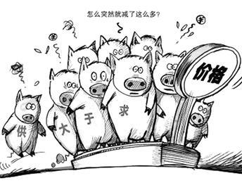 关于现阶段生猪养殖情况的调研报告