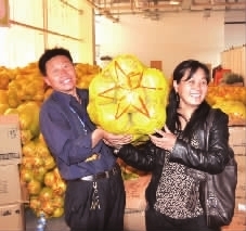 2012中国中部(湖南)国际农博会18日开幕