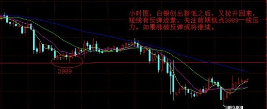 金一贵金属:探底反弹,短线能否止跌有待观望_