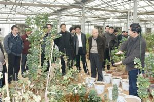 棉花生物学国家重点实验室顺利通过国家验收