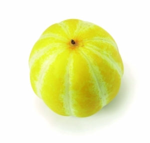 ļʱˮȿ