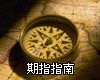 ��ָָ��