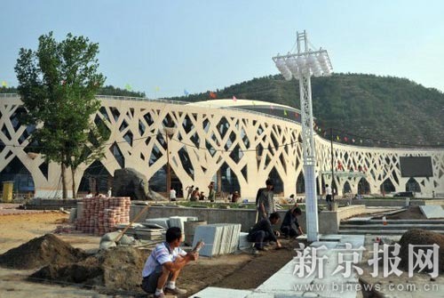 山西蒲县:“鸟巢书记”背后的官煤生态