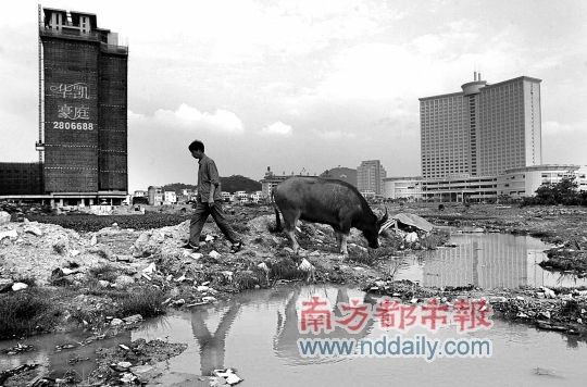 东莞重塑城市形象 市委书记刘志庚提出大讨论
