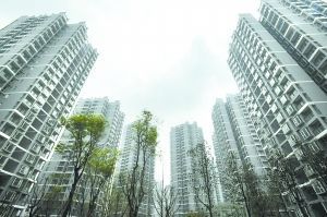 薄熙来:先富目标基本实现 要在共富上多下功夫