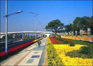网友列出中国十大冷漠城市 广州深圳均上榜(组图)