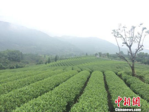 诗意山水,诗画浙江。 代表点赞特色小镇“浙江经验”:促经济转型谋城乡统筹