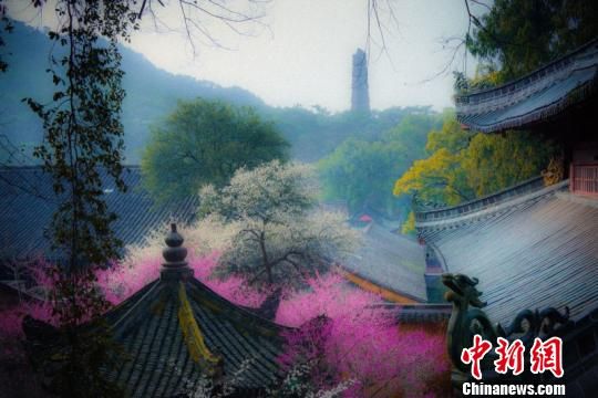 图为国清景区。 国家5A级景区浙江天台山国清景区将取消门票
