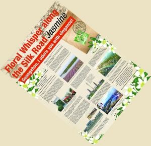 巴基斯坦《新闻报》·素馨花 “丝路”先行者“花语”寄全球 “海丝”发祥地广州以花为媒