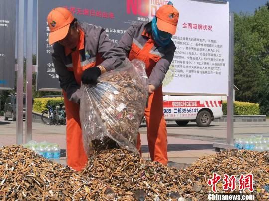 图为环卫工人将捡拾来的烟头堆在一起。 呼和浩特4000环卫工人一天捡出一座“烟头山”