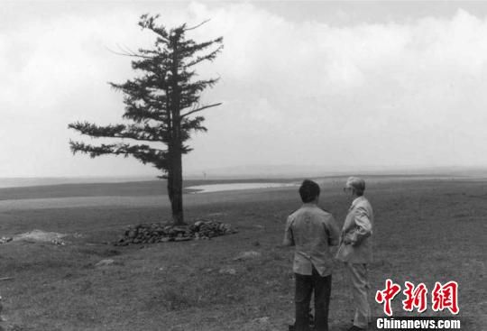 塞罕坝林场“一棵松”资料图。 资料图 承德塞罕坝:中国如何造就生态“奇迹岭”