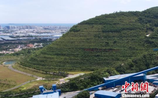 生态修复后的三亚抱坡岭。 王晓斌 摄 开山容易补山难 三亚治愈“大伤疤”传递“绿色经”