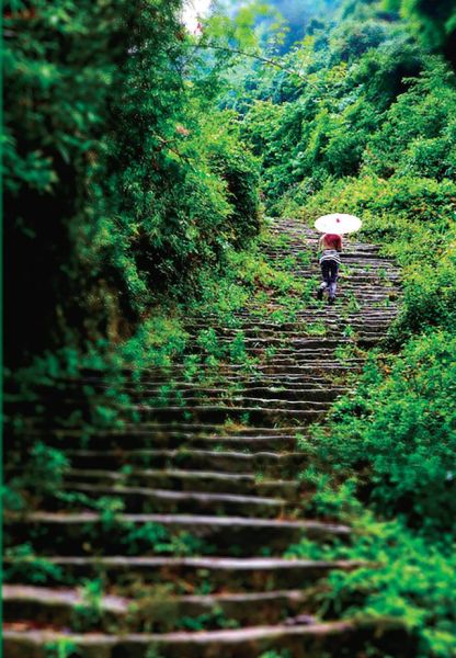 蟠龙蜀道。通讯员 华文峰 摄 一城桂花十里香 金秋柚惑梁平行