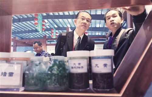 日前,在陇西举办的甘肃省中医药产业博览会上,工作人员向客商介绍当地中药材育苗情况。经济日报记者陈发明摄 甘肃陇西:“千年药乡”迈向“中国药都”