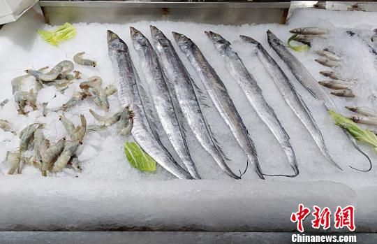 山东建设区域冷链物流中心 为“海上粮仓”“保驾护航” 