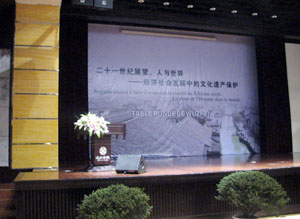 中法文化遗产保护论坛现场
