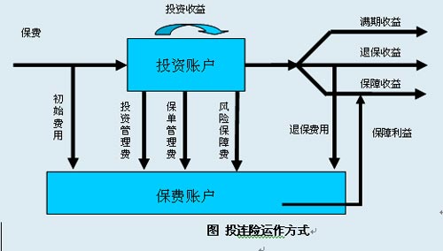 看懂投连险账户_保险消费_理财规划