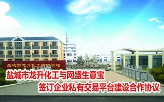 盐城市龙升化工与网盛生意宝签订企业私有交易