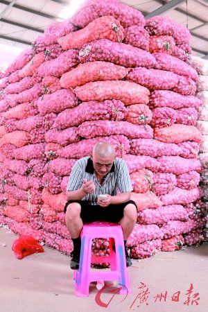 7月19日，广州江南果蔬市场，工人在等待顾客前来采购蒜头。（来源: 广州日报 记者 骆昌威）