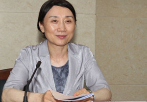 媒体专访湖南省委常委、统战部部长李微微
