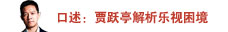 口述：贾跃亭解析乐视困境