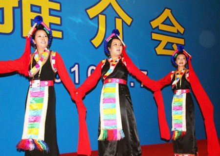 境内外旅游机构借旅博会平台推介好山好水好品牌(图)