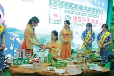 [图文]午子绿茶_滚动新闻