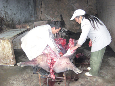 “问题猪肉”入市登堂谁之过 贵阳生猪屠宰业不规范不得了_滚动新闻_新浪财经_新浪网