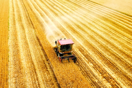 全省麦收进入扫尾阶段_滚动新闻_新浪财经_新浪网